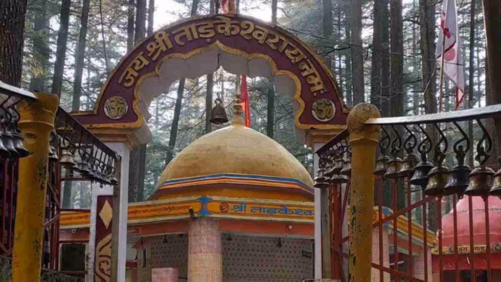 देवदार के घने जंगलों में विराजते हैं ताड़केश्वर महादेव, सावन में जरूर करें दर्शन