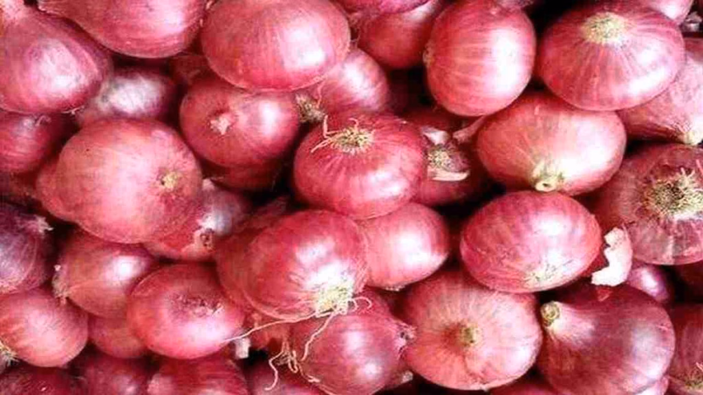 Onion Price Hike : प्याज महंगा होते ही सरकार का बड़ा एक्शन, इन 5 शहरों में 35 रुपए किलो मिलेगा
