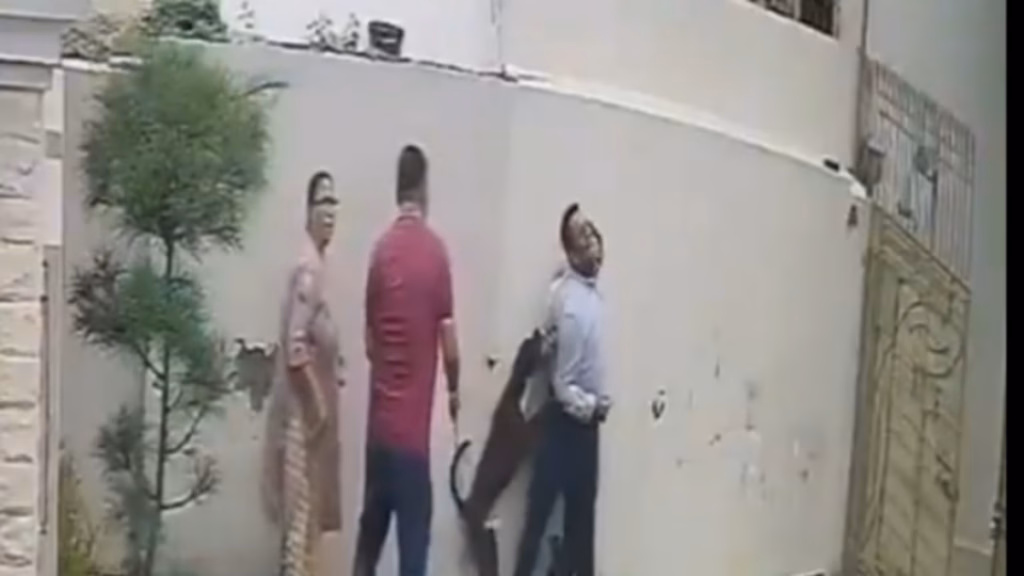 पटियाला में किराए का घर देखने गए दंपति पर पिटबुल का हमला, पत्नी की सर्जरी,  CCTV वीडियो वायरल