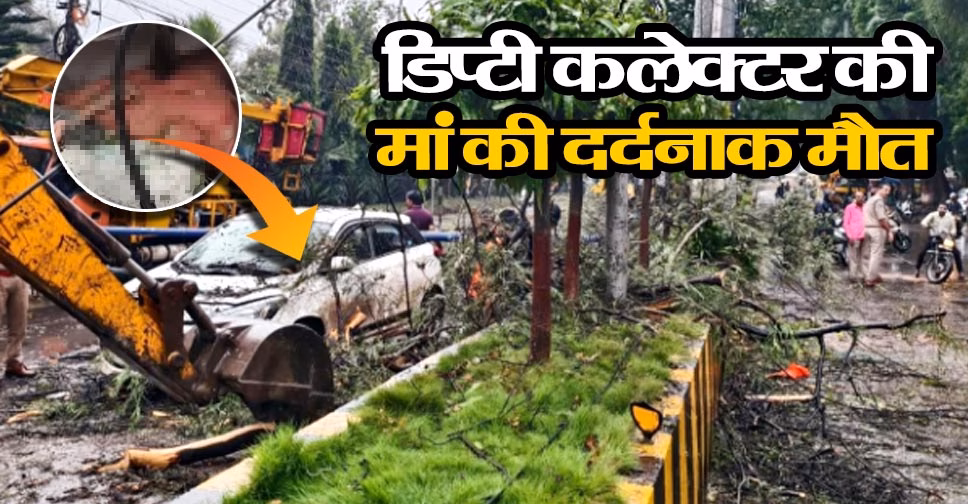 इंदौर में पेड़ गिरा, डिप्टी कलेक्टर की मां की दर्दनाक मौत, बहन और बहनोई बुरी तरह घायल, रेस्‍क्‍यू के लिए पहुंची टीम