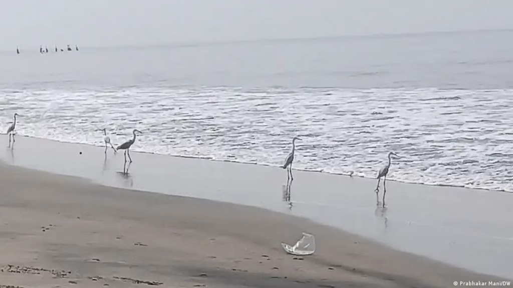 मुंबई और कोलकाता जैसे शहरों पर जलवायु के गंभीर खतरे का डर