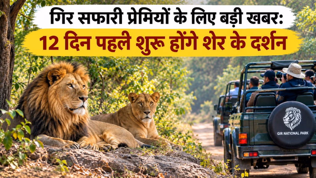 सासन गिर में शेर प्रेमियों के लिए खुशखबरी, गिर जंगल सफारी तय समय से 12 दिन पहले शुरू होगी
