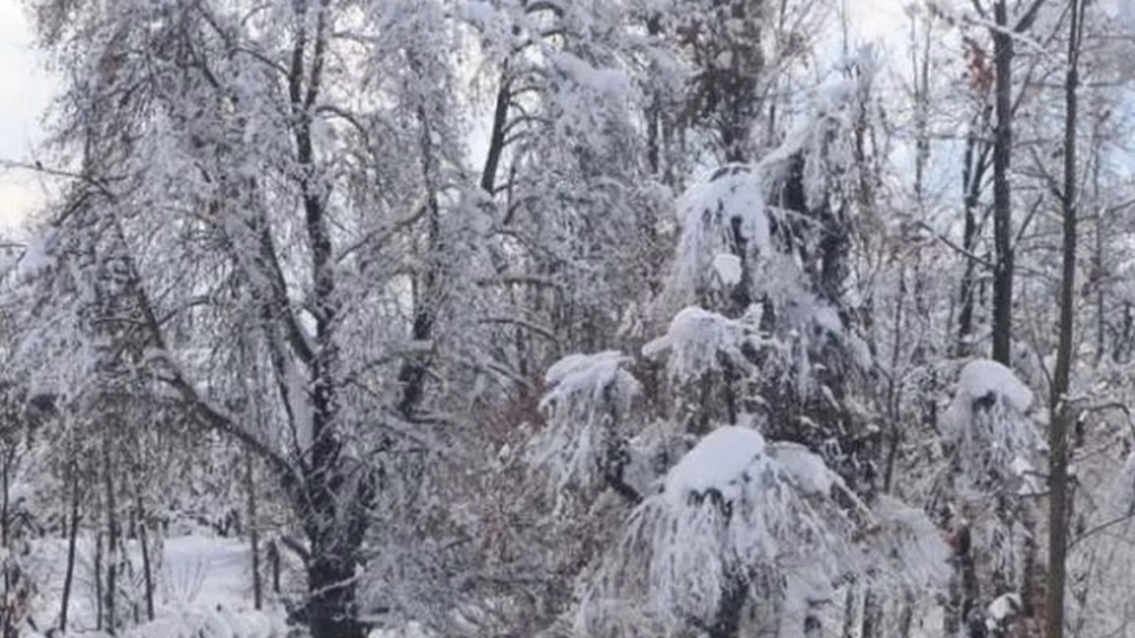 Weather Update : पहाड़ों पर बर्फबारी से बढ़ी ठंड, IMD इन राज्यों में बारिश का अलर्ट