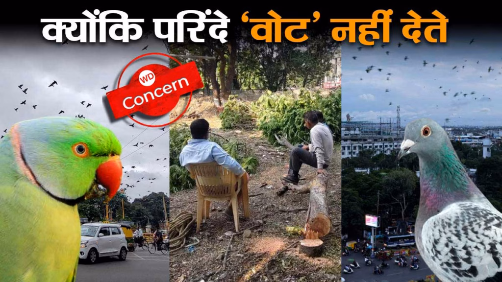 बौखलाए नेताओं की बेरहमी का ये सबसे निर्दयी उदाहरण है, 200 पेड़ों से हजारों परिंदों के आशियाने उजाड़कर मेट्रो चलाएंगे