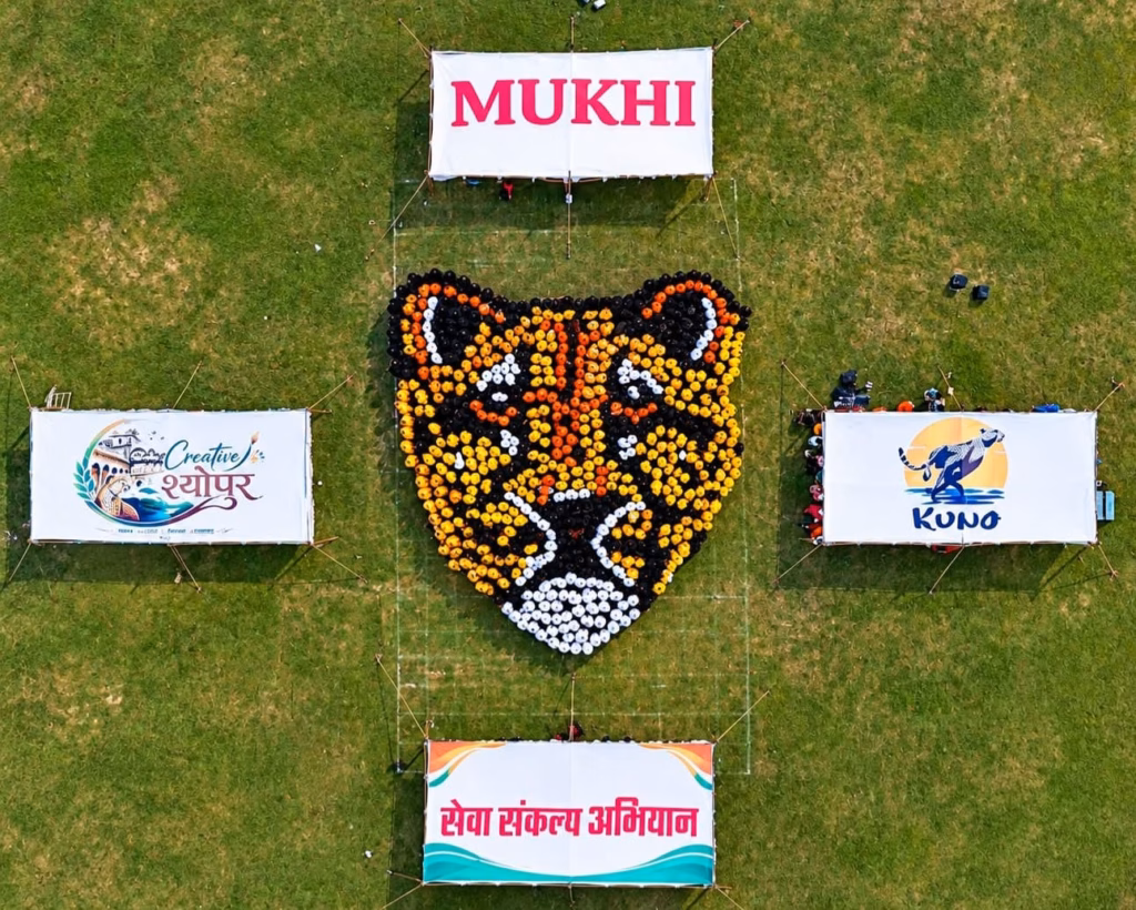 चीता स्टेट ‘मध्यप्रदेश: सेवा संकल्प अभियान में महिलाओं एवं छात्राओं ने बनाई मादा चीता 'मुखी' की विशाल प्रतिकृति