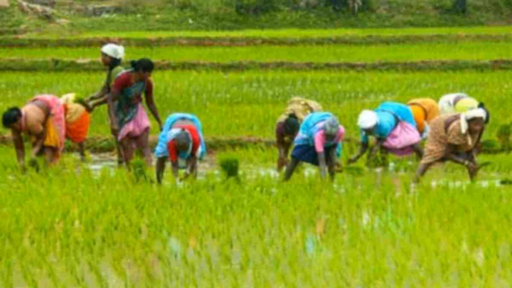 कमजोर मानसून के बाद भारत में पानी और बिजली की किल्लत