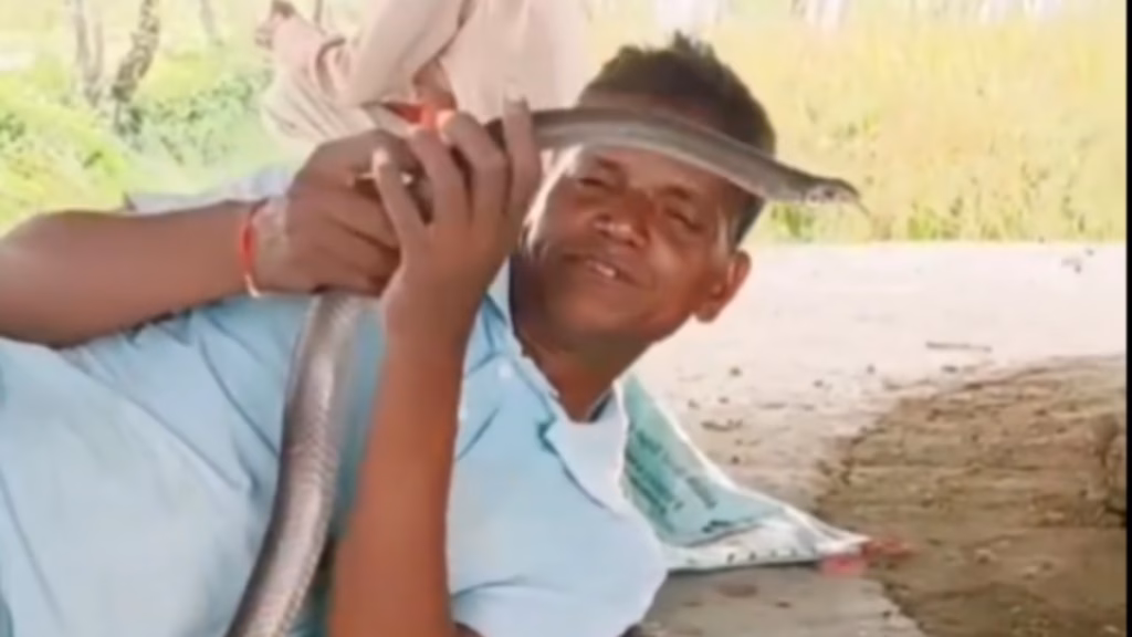 नागिन से खिलवाड़ पड़ा भारी! डसने से दिव्यांग की मौत, वीडियो बनाने के चक्कर में गई जान