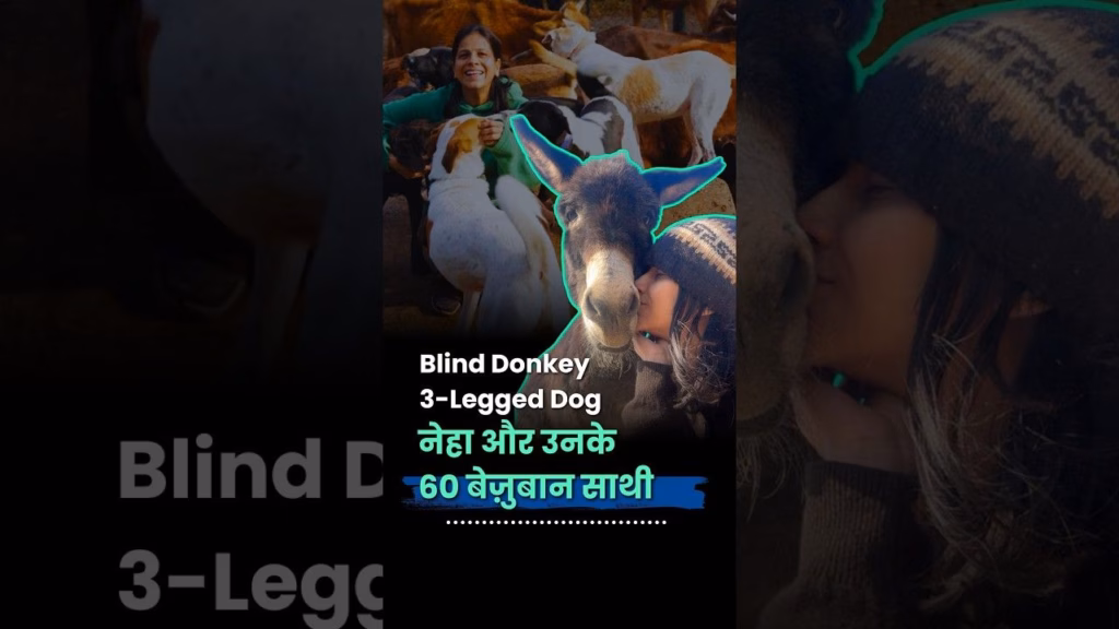 नेहा और उनके 60 बेज़ुबान साथी | Peepal Farm | Animal Rescue | Unique Friendship | Himachal Pradesh