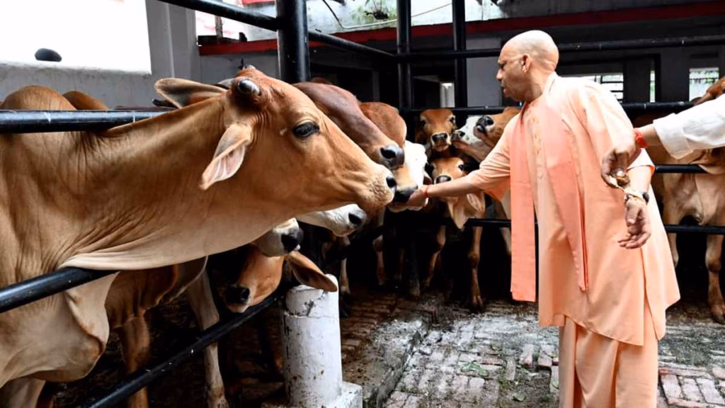 योगी सरकार का बड़ा फैसला, दिवाली पर जलाएं 'एक दीया गोमाता के नाम', 7500 से ज्यादा गो आश्रय केंद्र होंगे रोशन